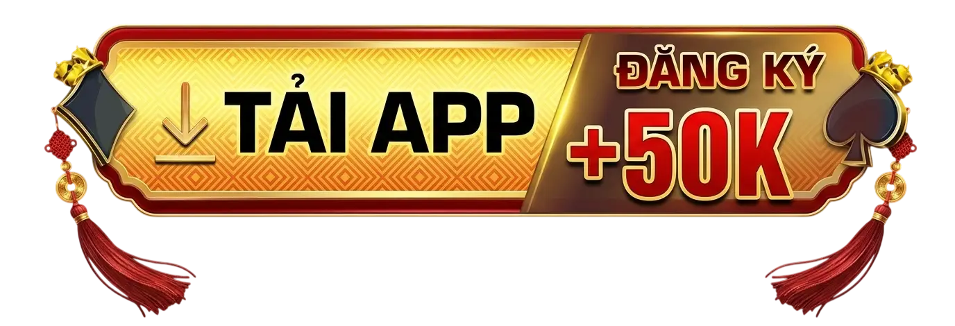 botton ml88
